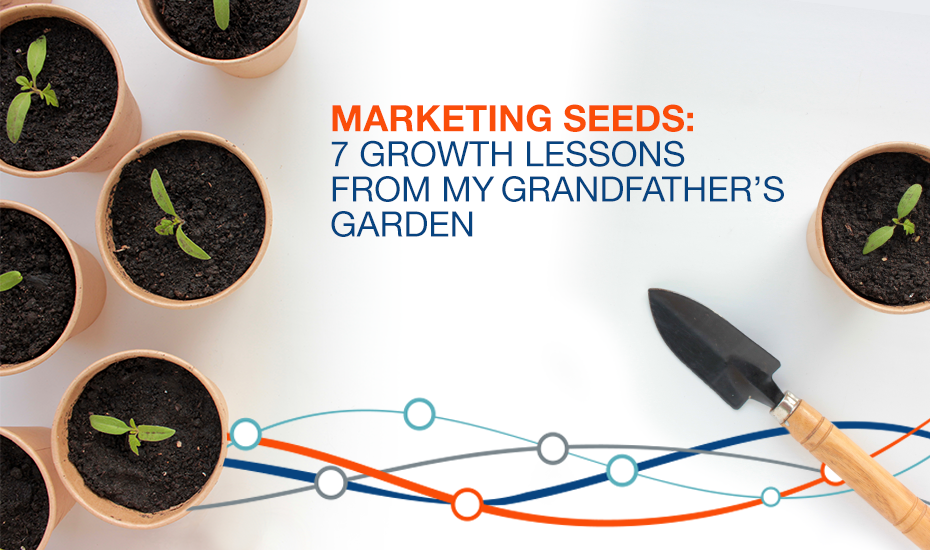 7 Lessons to Grow Your Business